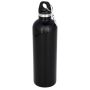 Vacuum insulated bottle 