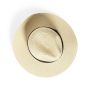 Taylor Hat
