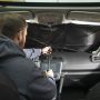 Birdy Sunshade