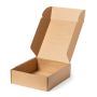 Fredox Presentation Case