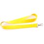 Polyard Polyester Lanyard with Carabiner