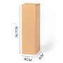 Badesy Presentation Case