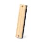 Blues Harmonica