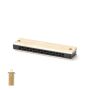 Blues Harmonica