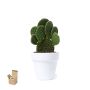 Flowerpot Konte