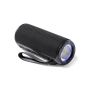 Roby Loudspeaker