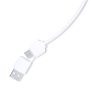 Lasiar USB Port