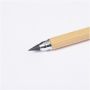 Zack Eternal Pencil Pen