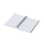 Fionap Notebook