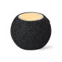 Cedric Speaker Charger