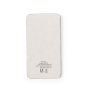 Power Bank Mayor