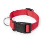 Collar Mastiff