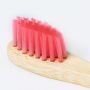 Becu Toothbrush