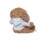 Teddy Chamox