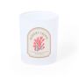 Sublimation Cup Loter
