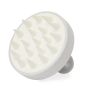 Nocote Emulsifier