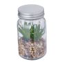 Kyala Decorative Plant