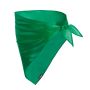Wasat Scarf