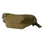 Demuth Waist Bag