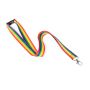 Lanyard Mapik