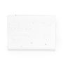 Albot Seed Sticky Notes