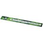 30 cm ruler made from 100% recycled plastic 