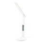 Evanex Multifunction Lamp