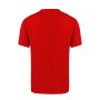 Adult T-Shirt Colour Seiyo
