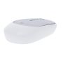 Mouse Doryt RCS