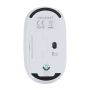 Mouse Doryt RCS