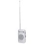 Radio Master