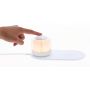 Reginal Charging Lamp