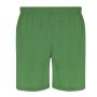 Rudig Shorts