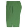 Rudig Shorts