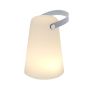 Tuxfan Lamp