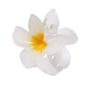 Tixcon Hair Clip