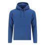 Draco Adult Sweatshirt