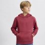Children's Draco Sweatshirt