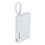 Power Bank Branding