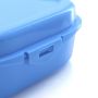 Sandwich Nut Lunchbox
