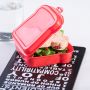 Sandwich Nut Lunchbox