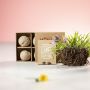 Garden Kit Tomarux
