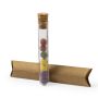 Dinaclex Bombom Seed Set