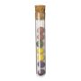 Dinaclex Bombom Seed Set