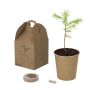 Flowerpot Vencor