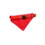 Roco Bandana Collar
