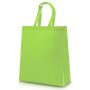 Lamibag Laminated TNT Bag 110g