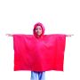 Poncho Theo