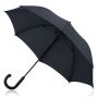 Stormi Automatic Carbon Umbrella with P-190T and Rubber Handle
