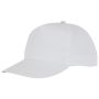 5-panel Hades cap